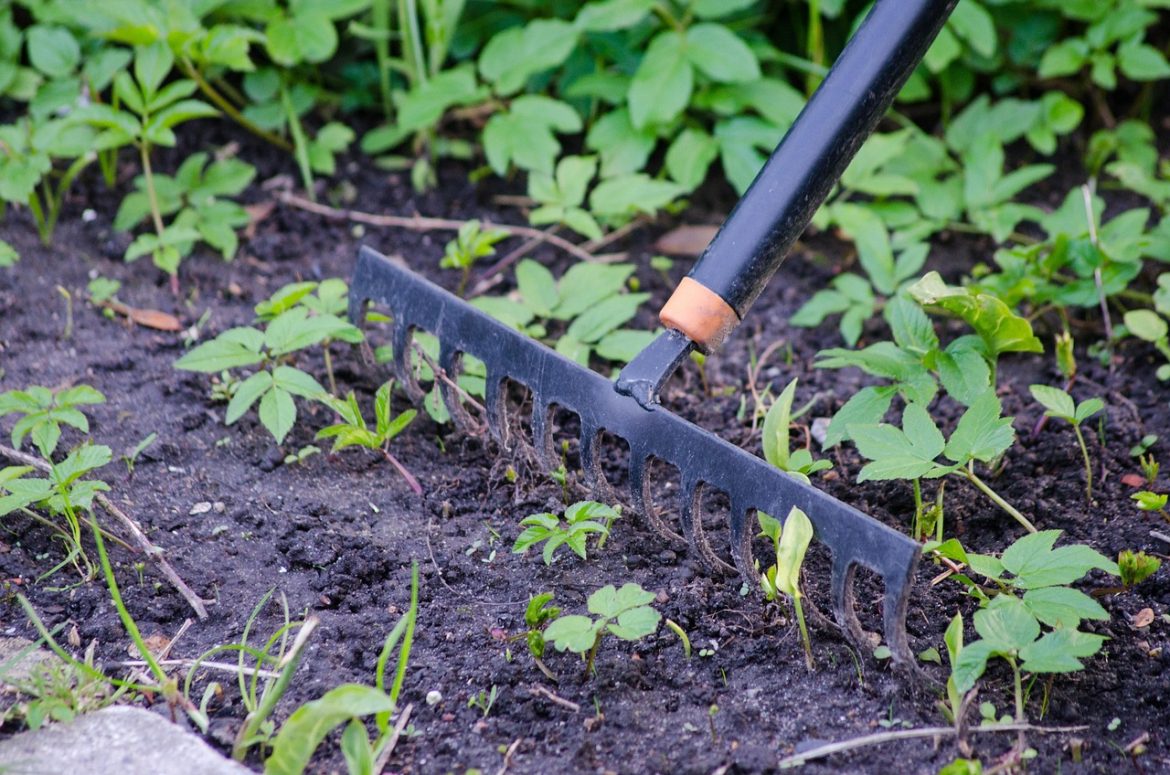 Râteau de chantier vs râteau de jardin : comment choisir