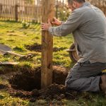 Deux hommes posant des poteaux de clôture en bois dans un jardin